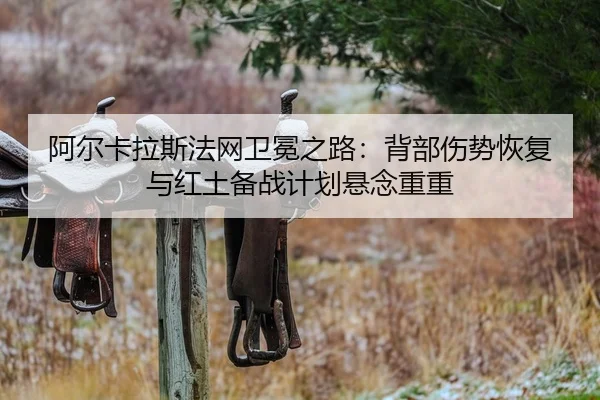 a-er-ka-la-si-fa-wang-wei-mian-zhi-lu-bei-bu-shang-shi-hui-fu-yu-hong-tu-bei-zhan-ji-hua-xuan-nian-chong-chong-2-168.jpg