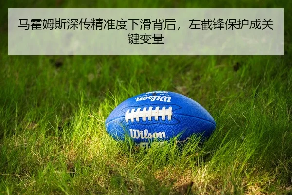 ma-huo-mu-si-shen-chuan-jing-zhun-du-xia-hua-bei-hou-zuo-jie-feng-bao-hu-cheng-guan-jian-bian-liang-2-289.jpg